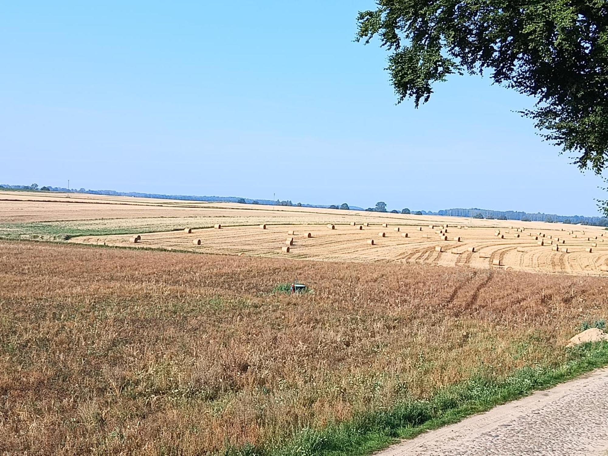 Agroturystyka Dana Debrzno Экстерьер фото